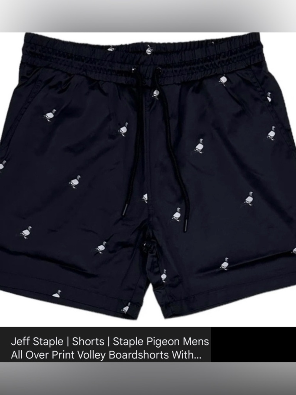 Staple Pigeon Men's All Over Print Volley Boardshorts W Inner Mesh Lining 2XL